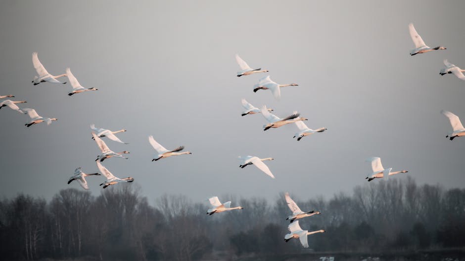 Mirajul libertății când telefonul ți-a rămas acasă